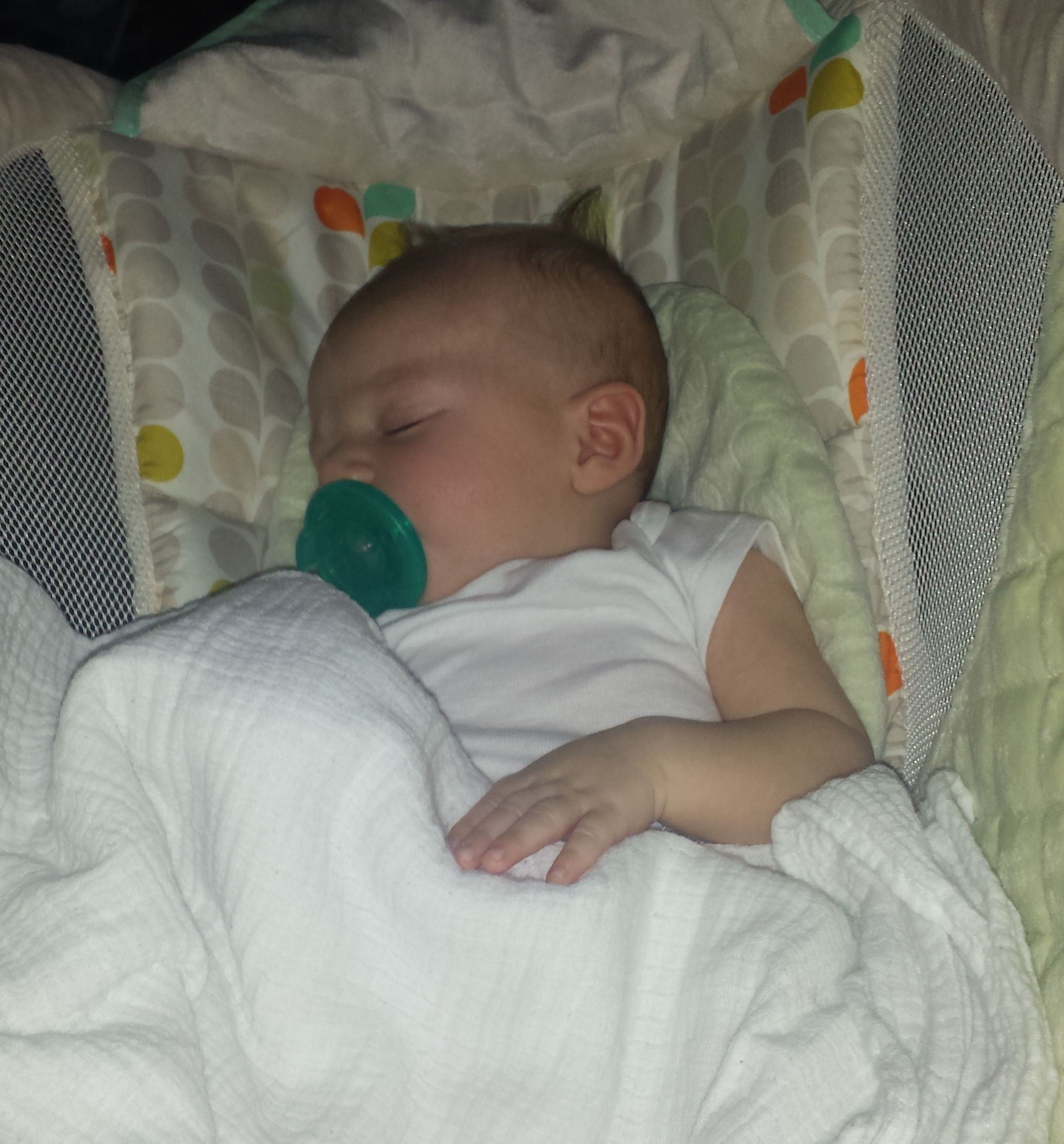 Just a Nap